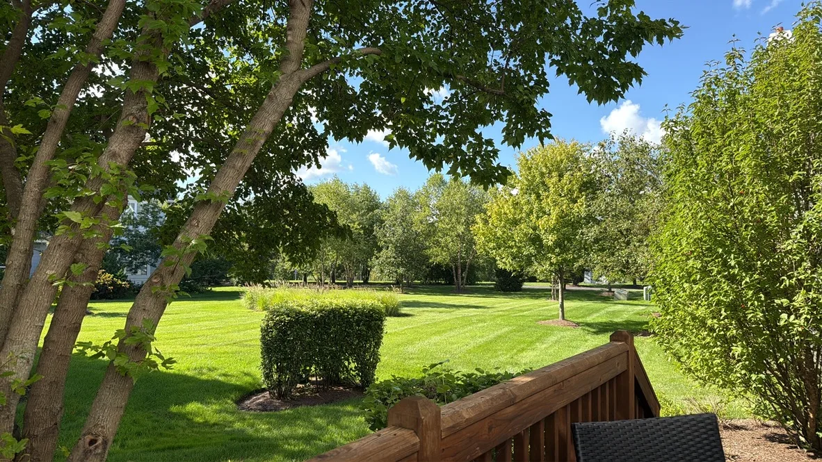 A green lawn and trees seen from a wooden deck on a sunny day